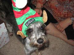 Heather 2006 - IMG_2176.jpg Heather 2006 - IMG_2176.jpg